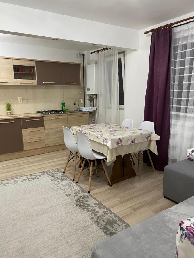 5 Residence Apartment Cavnic Bagian luar foto