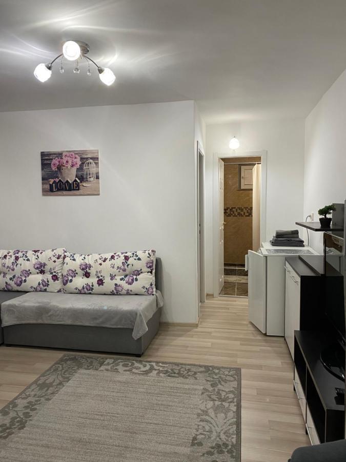 5 Residence Apartment Cavnic Bagian luar foto